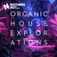 Lose Control - DJ Antoine & Mad Mark Extended Remix
