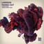 Fading Out - Aurean Remix