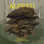 Alfred cover