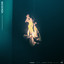 Light It Up artwork