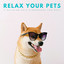 Relax Your Pets: A Relaxing Rain Atmosphere For Naps cover