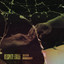 Album cover of Riven Mirrors by Despite Exile