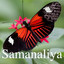 Samanaliya cover