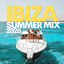 Wild Girl - Paul Woolford Extended Remix