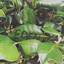 Eden cover