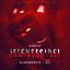 Irreversibel cover