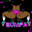 Bumpa cover