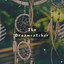 The Dreamcatcher cover