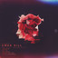 Heart - Erdi Irmak Remix