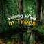 Strong Wind in Trees cover