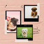 Fun Music for Doggy Bedtime - Trumpet, Electric Piano, Alto Sax and Soprano Sax cover