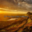 19 Find Your Path In Nature cover