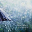 Rain Music: Sleeping Well Vol. 1 cover
