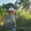 NOAH JAMES - COLORADO SUN