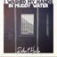 Robert Hale - I Washed My Hands In Muddy Water