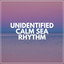 Unidentified Calm Sea Rhythm cover
