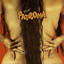 Patrona cover