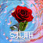 Saah cover