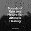 Sounds of Rain and Nature for Ultimate Healing cover
