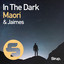 In the Dark cover