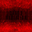 Chaos Radiation cover