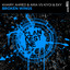 Broken Wings - Extended Mix