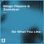 Do What You Like - Extended Mix