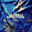 JUANLU MONTOYA - BRILLAR CONTIGO