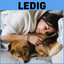 Ledig cover