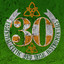 30 Essential Celtic and Irish Instrumentals cover