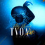 The Voice Of Africa (Live) cover