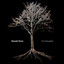 Oleander Roots - Tree in the garden