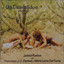 Os Desvalidos cover