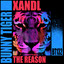 The Reason - Instrumental Mix