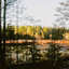 Caspar Auwerkerken - The Pond