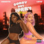 Sorry Not Sorry - Remix