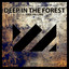 Deep In The Forest - Extended Mix
