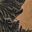 BRYZ — Tropical Shiva cover art