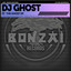 The Ghost - Radio Edit cover