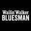 Wailin' Walker - It Takes Time