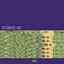 Scatterbrained cover