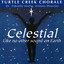 Celestial: Like No Other Sound on Earth cover