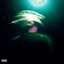 Planet Surf 2 cover