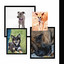 Glorious Music for Beaming Pups - Trumpet, Soprano Sax, Tenor Sax and Guitar cover