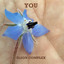 You cover