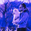 Backdrop for Brave Doggy cover