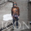 Icon cover