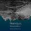zZz Tranquil Reassuring Rain Ambiance zZz cover