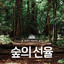 Unknown Title cover