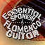 Essential Spanish Flamenco Guitar cover